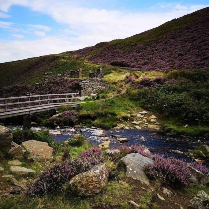 Malkin Wood Studio - 15 Min Walk To Holmfirth Centre Dış mekan fotoğraf